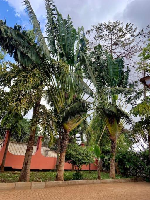 Bungalow X Garten & Terrasse X Wlan X Europaeisch Moshi Exterior foto