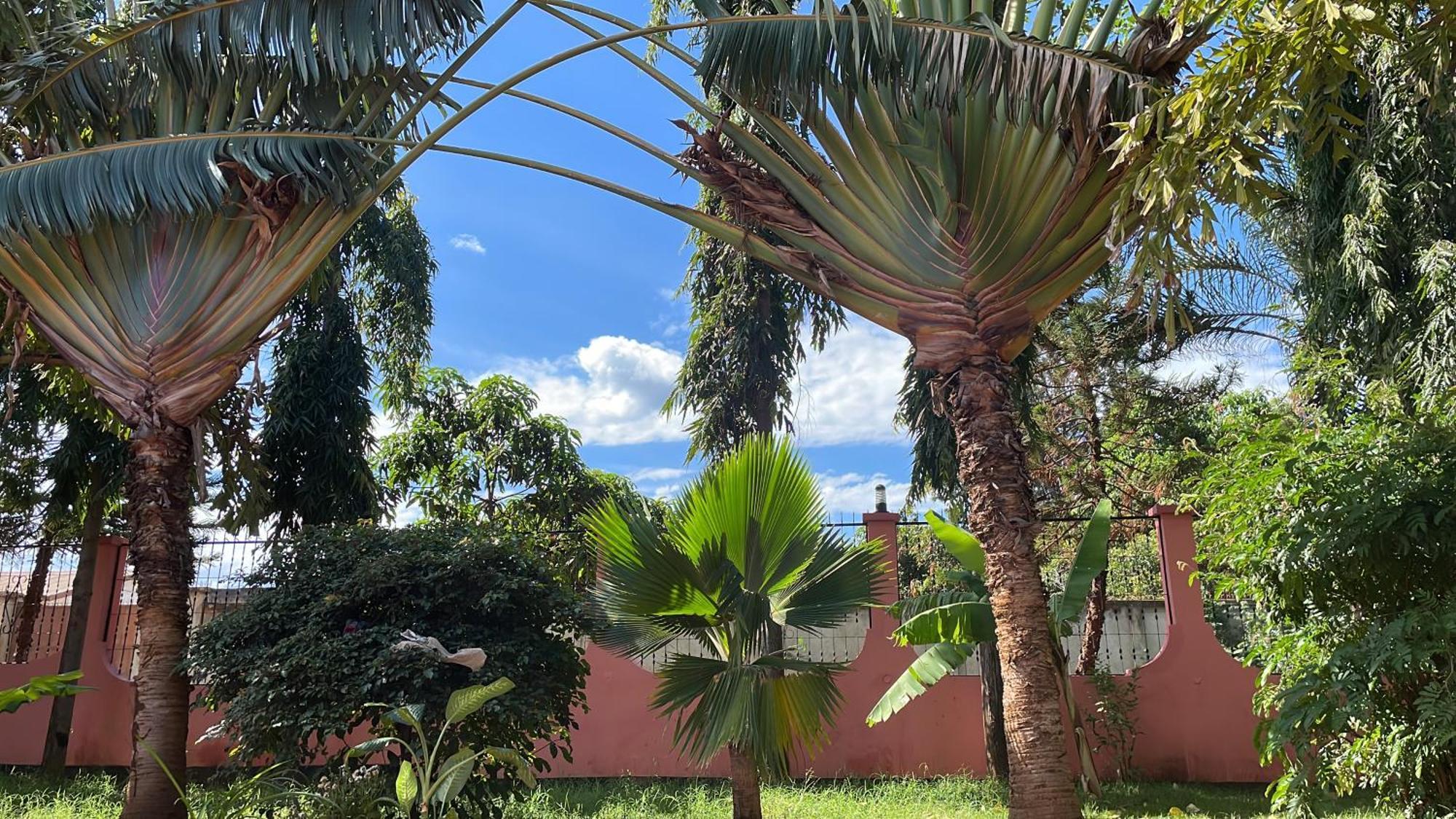 Bungalow X Garten & Terrasse X Wlan X Europaeisch Moshi Exterior foto